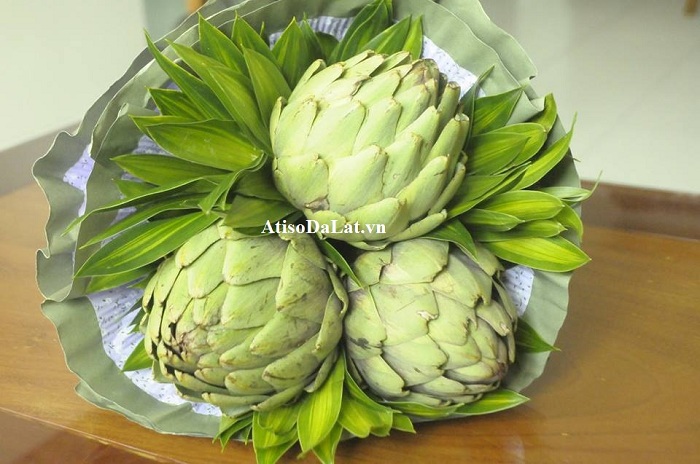 bong-atiso-tuoi-1