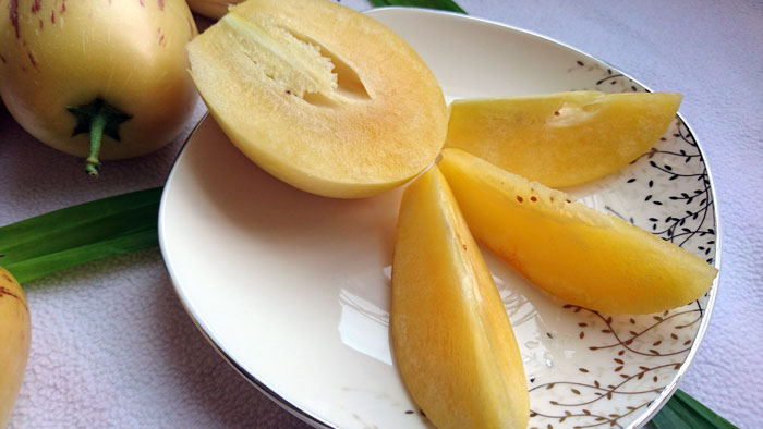 dua pepino 3