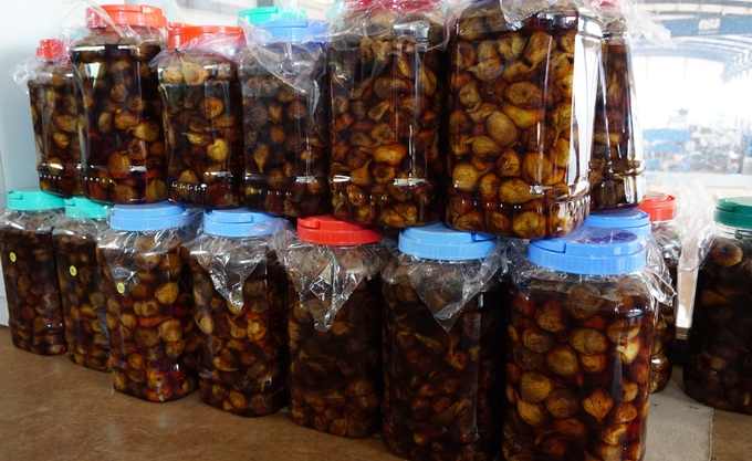 sung mỹ ngâm rượu
