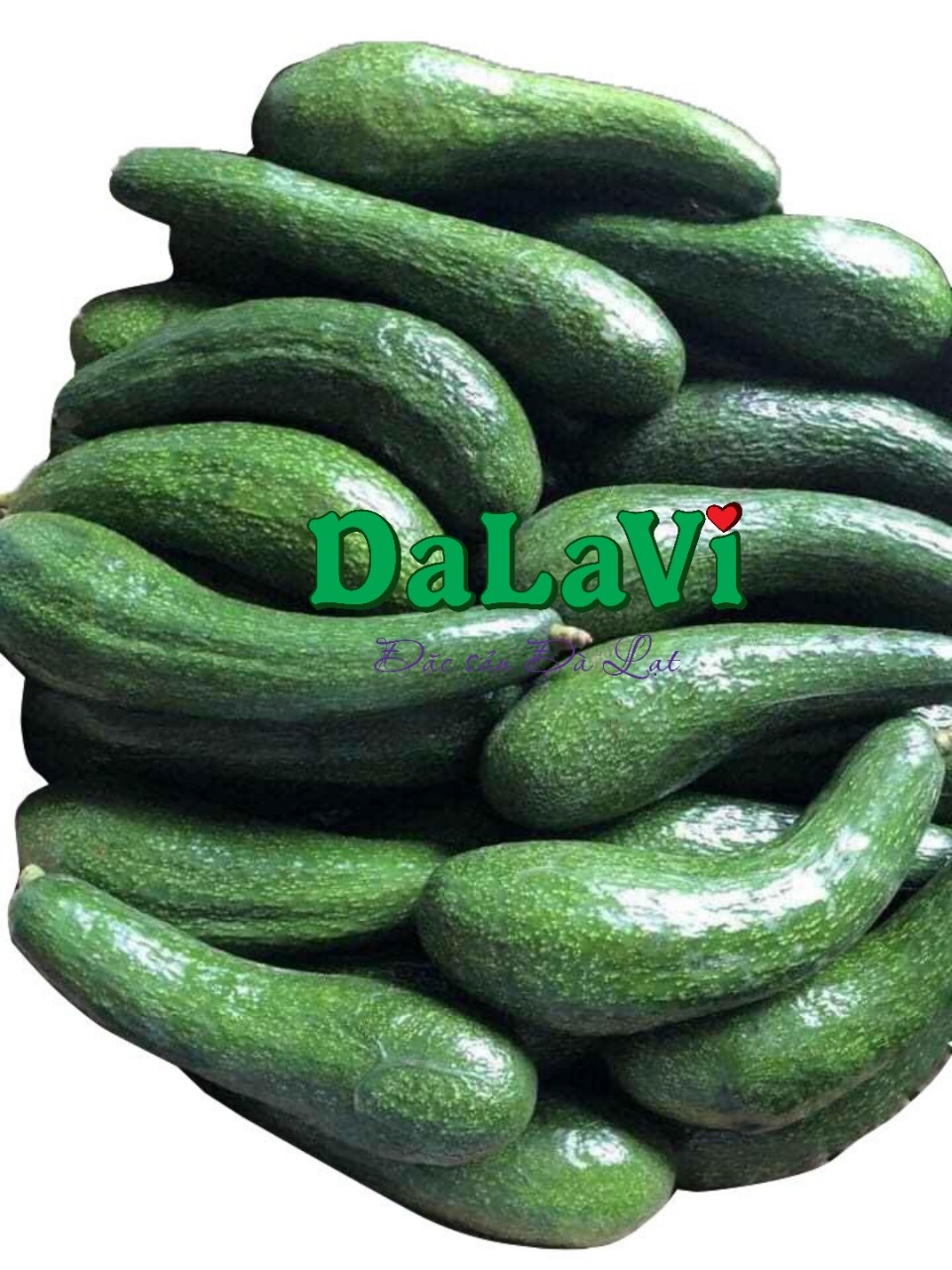 bo-034-da-lat (2)