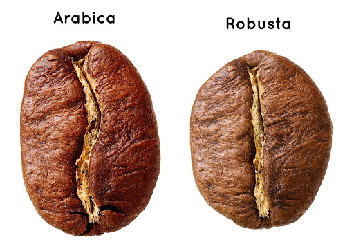 cafe-robusta-arabica