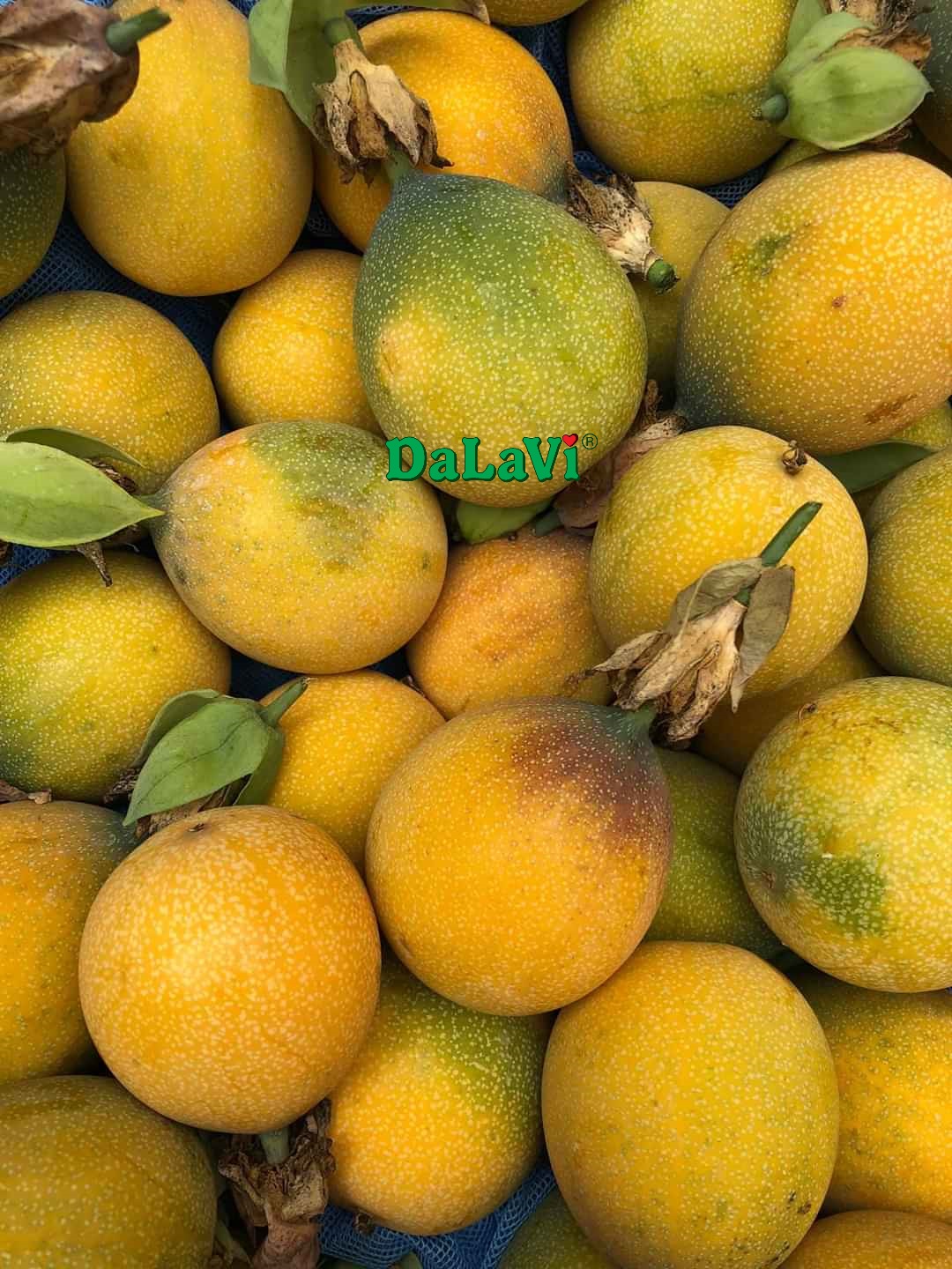 chanh dây ngọt colombia