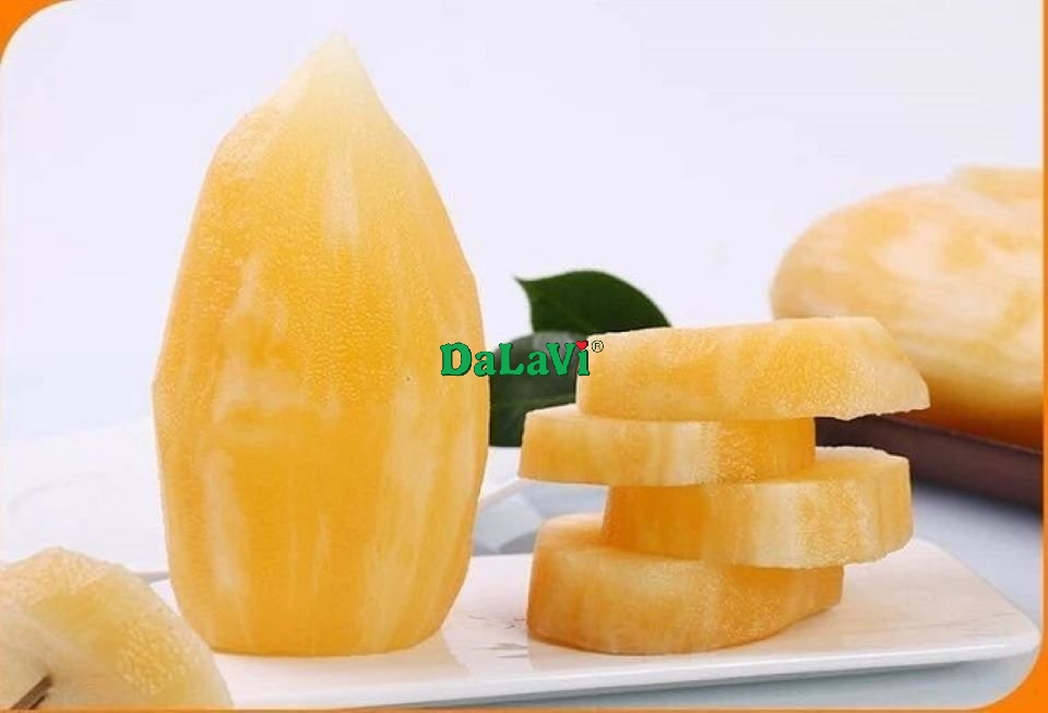 sam-dat-yacon-dalavi