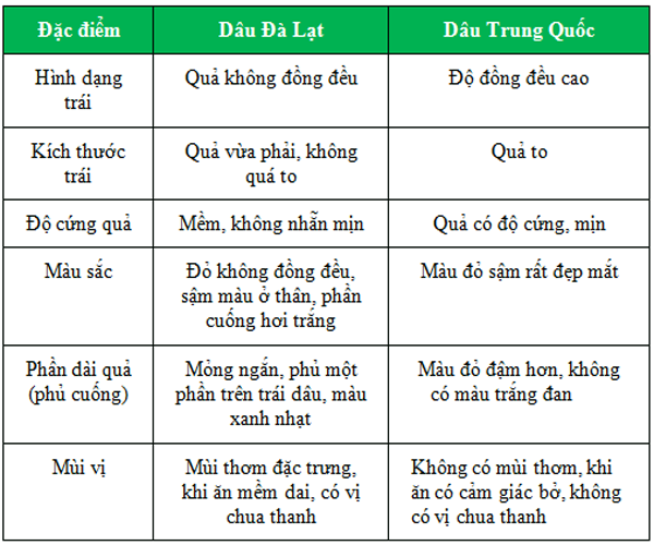 su-khac-nhau-giua-dau-dalat-va-dau-trung-quoc