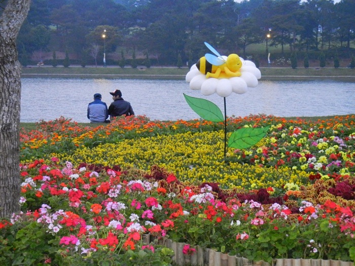 Festival-Hoa-dacsandalat-1