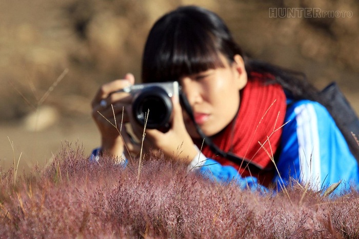 doi-co-hong-lang-man-o-Da-Lat-5