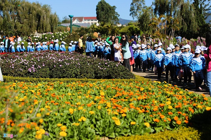 Sac-mau-ruc-ro-o-le-hoi-Hoa-Da-Lat-11