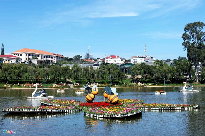 Sac-mau-ruc-ro-o-le-hoi-Hoa-Da-Lat-19