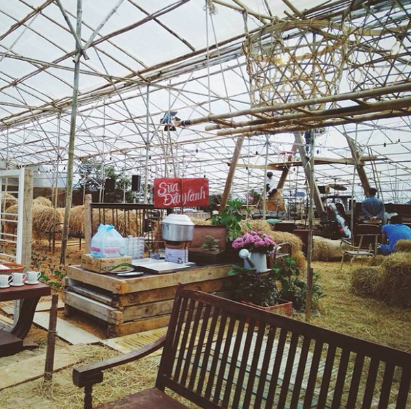 trao-luu-o-homestay-dalat-8