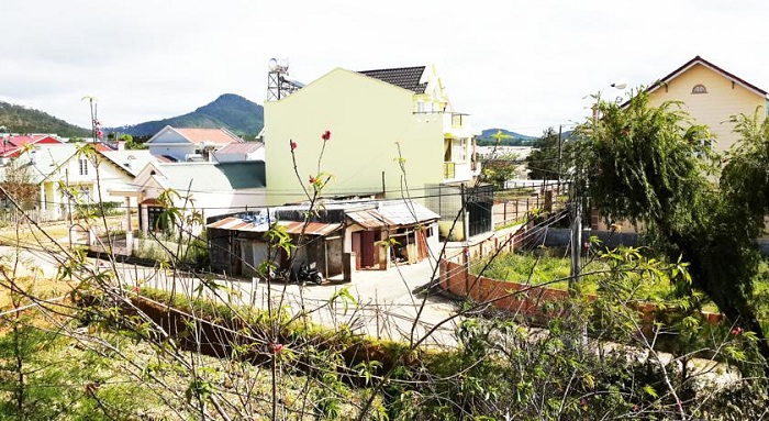 Reveto-Villa-da-lat-5