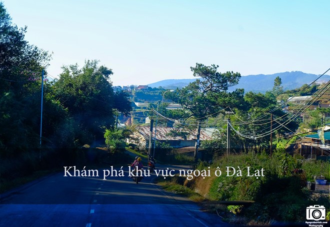 nhung-trai-nghiem-khong-the-bo-qua-dip-304-tai-da-lat-3