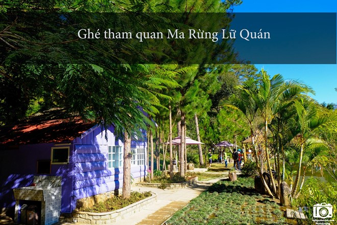 nhung-trai-nghiem-khong-the-bo-qua-dip-304-tai-da-lat-5