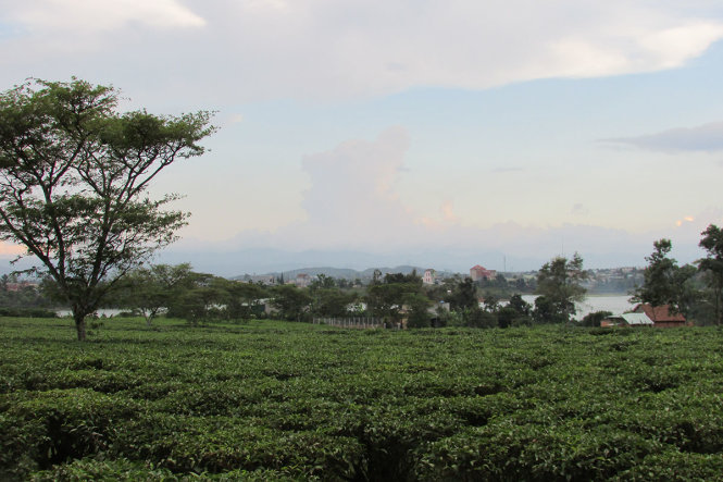 ho-bao-lam-da-lat-4