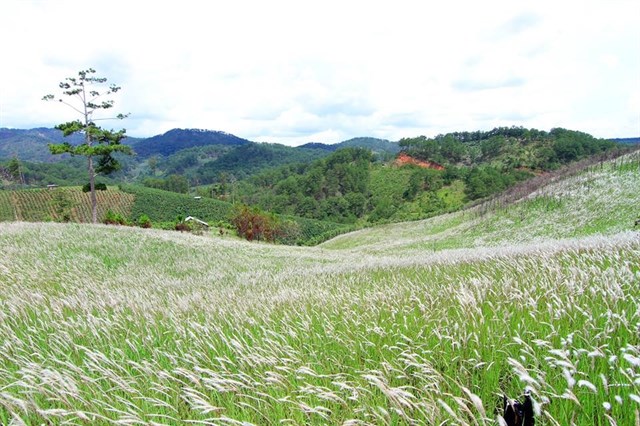 23-diem-du-lich-free-nhat-dinh-phai-biet-khi-den-da-lat-58d27b44636001950540251595