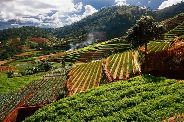 23-diem-du-lich-free-nhat-dinh-phai-biet-khi-den-da-lat-6a9f1f78636001954148554725