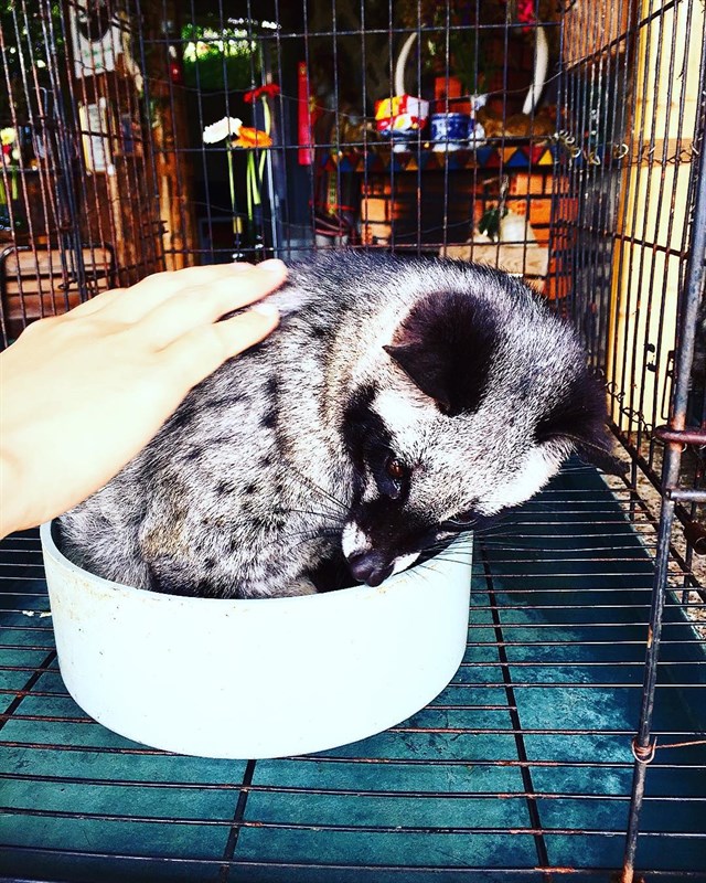 23-diem-du-lich-free-nhat-dinh-phai-biet-khi-den-da-lat-89ccca0a636001953471978388