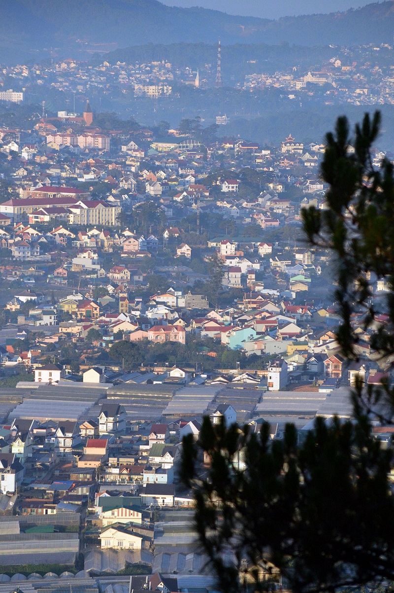 ban-mai-da-lat-4