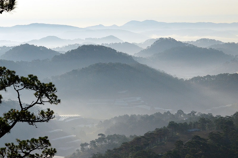 ban-mai-da-lat-5