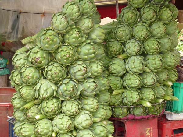hoa Atiso Đà Lạt