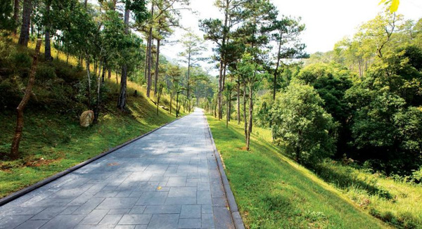 5-resort-xinh-ngat-ngay-voi-view-nhin-ra-ho-tuyen-lam-lang-man-o-da-lat-11