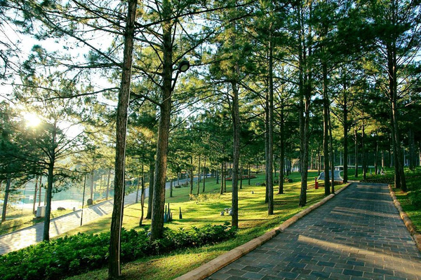 5-resort-xinh-ngat-ngay-voi-view-nhin-ra-ho-tuyen-lam-lang-man-o-da-lat-2