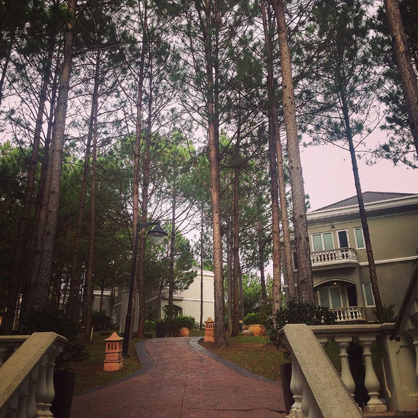 5-resort-xinh-ngat-ngay-voi-view-nhin-ra-ho-tuyen-lam-lang-man-o-da-lat-8
