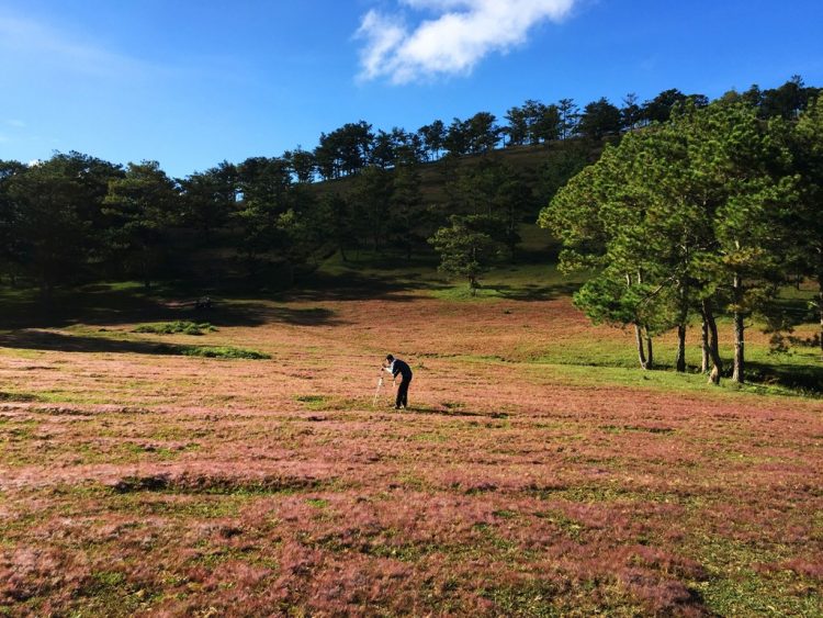 kham-pha-nhung-mua-hoa-co-thang-12-o-da-lat-9