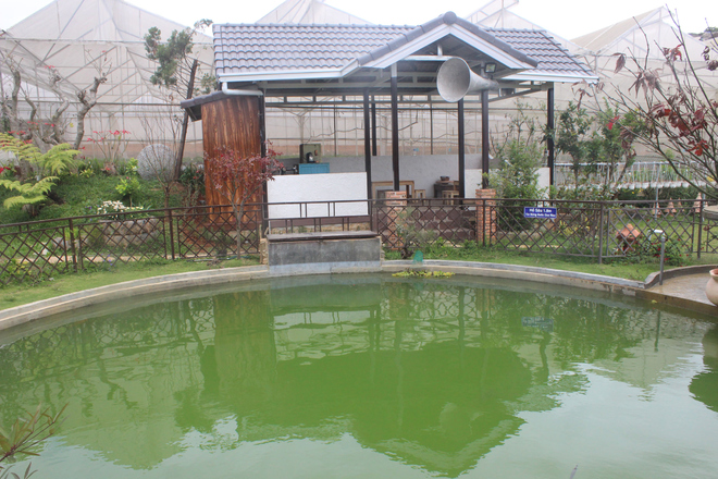 khu-homestay-hinh-thung-ruou-doc-dao-o-da-lat-6
