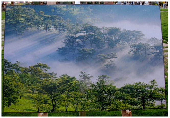 75-buc-tranh-dep-ve-chu-de-khoanh-khac-da-lat-1