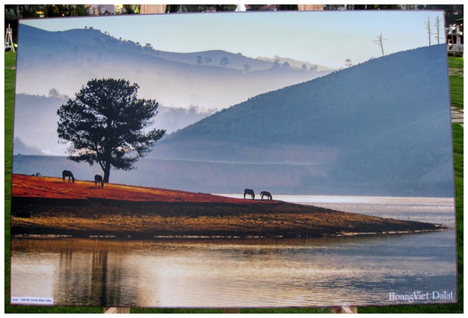 75-buc-tranh-dep-ve-chu-de-khoanh-khac-da-lat-6