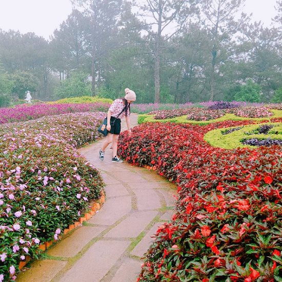 khu-du-lich-doi-mong-mo-3