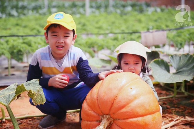 co-mot-da-lat-quen-ma-la-lai-rat-an-yen-o-lang-nong-nghiep-ho-xuan-huong-7