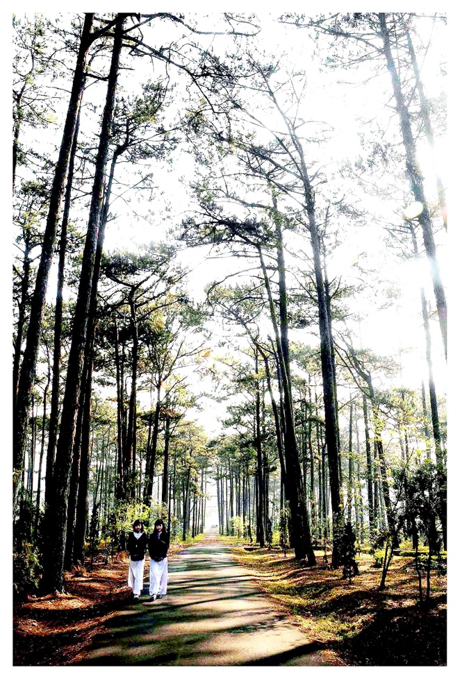duyen-dang-diu-dang-nu-sinh-da-lat-7