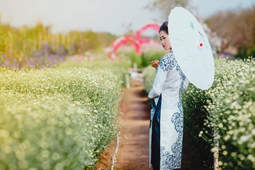 làng hoa Tây Lựu