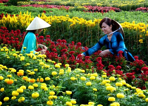 nhung-lang-hoa-ruc-ro-nhat-viet-nam-4