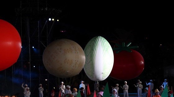 dem-khai-mac-festival-hoa-day-mau-sac-tai-da-lat-12