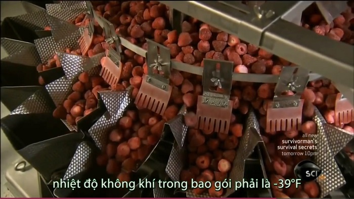 dau-tay-dong-lanh-6