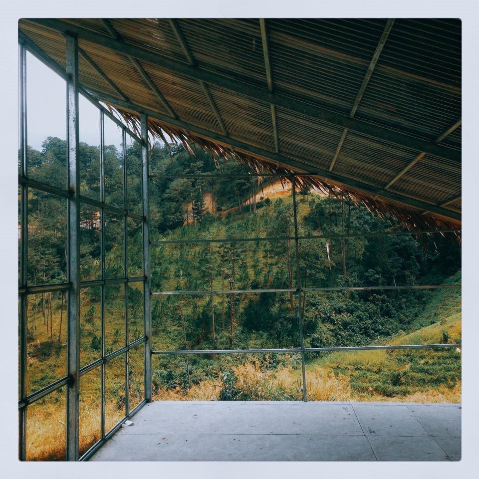 3-homestay-o-da-lat-de-ban-enh-uong-ngu-nuong-roi-doc-sach-uong-tra-ca-ngay-khong-chan-12