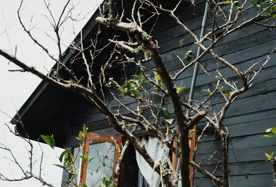 3-homestay-o-da-lat-de-ban-enh-uong-ngu-nuong-roi-doc-sach-uong-tra-ca-ngay-khong-chan-4