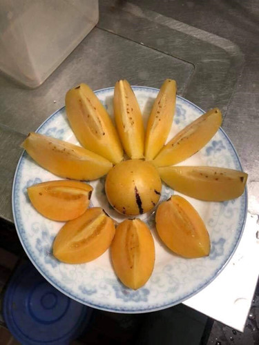 cach-phan-biet-dua-pepino-trung-quoc-va-da-lat-it-nguoi-biet-8