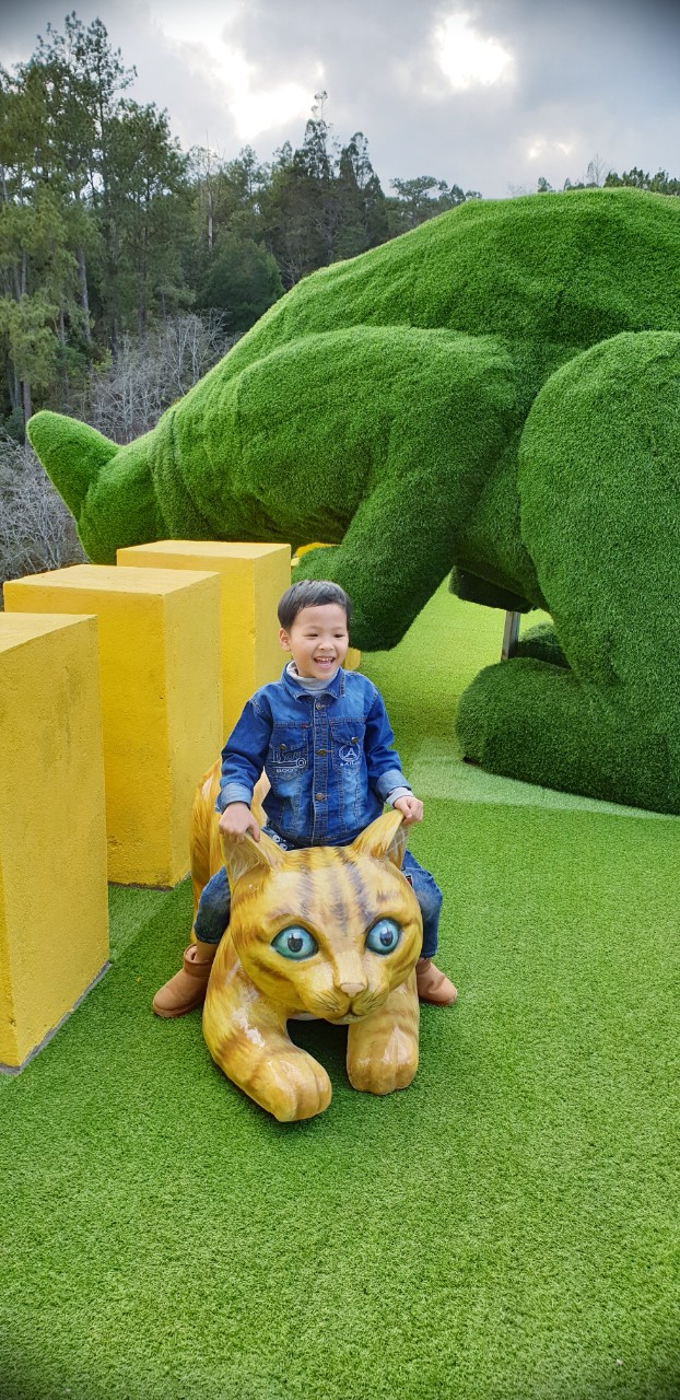 fresh-garden-canh-dong-hoa-moi-ngoai-thanh-da-lat (2)