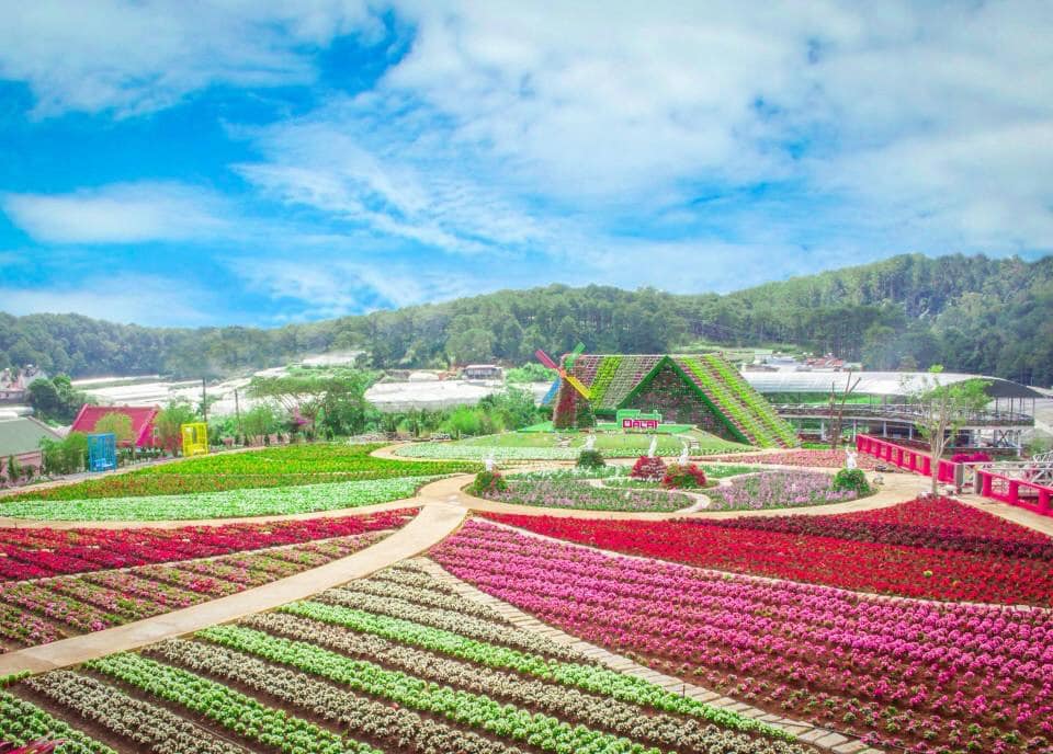 fresh-garden-canh-dong-hoa-moi-ngoai-thanh-da-lat (6)