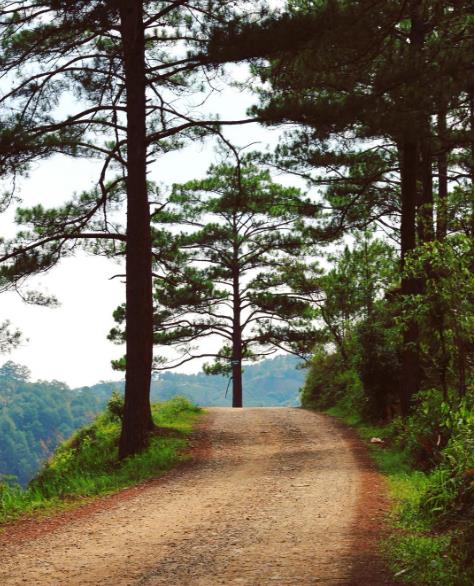 den-da-lat-nho-check-in-nga-ba-tinh-11