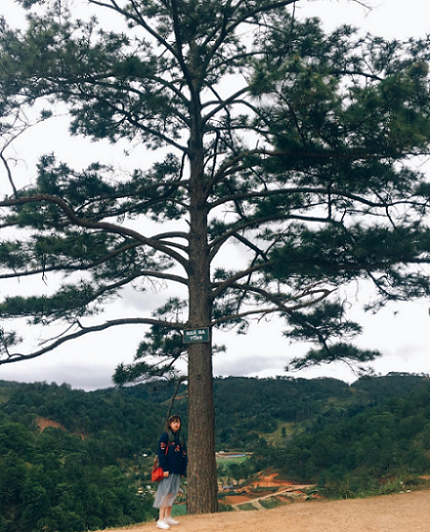 den-da-lat-nho-check-in-nga-ba-tinh-8