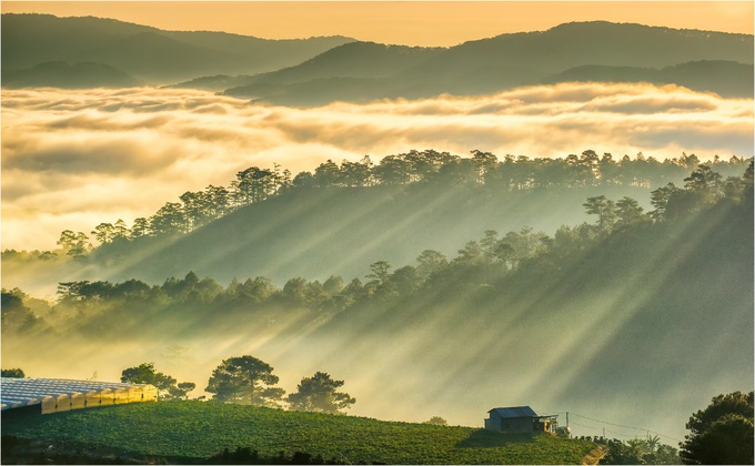 nhung-diem-ngam-suong-von-may-luc-binh-minh-o-da-lat-3