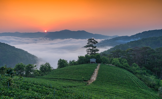 nhung-diem-ngam-suong-von-may-luc-binh-minh-o-da-lat-9