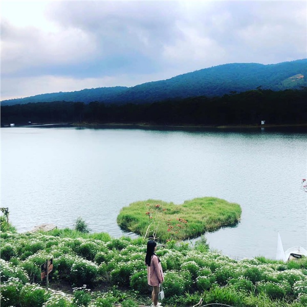 da-lat-thang-6-lac-loi-trong-doi-cuc-hoa-mi-no-ro-ben-bo-ho-10