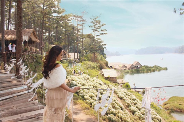 da-lat-thang-6-lac-loi-trong-doi-cuc-hoa-mi-no-ro-ben-bo-ho-11