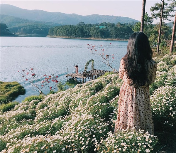 da-lat-thang-6-lac-loi-trong-doi-cuc-hoa-mi-no-ro-ben-bo-ho-12