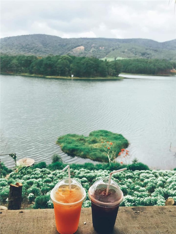 da-lat-thang-6-lac-loi-trong-doi-cuc-hoa-mi-no-ro-ben-bo-ho-9
